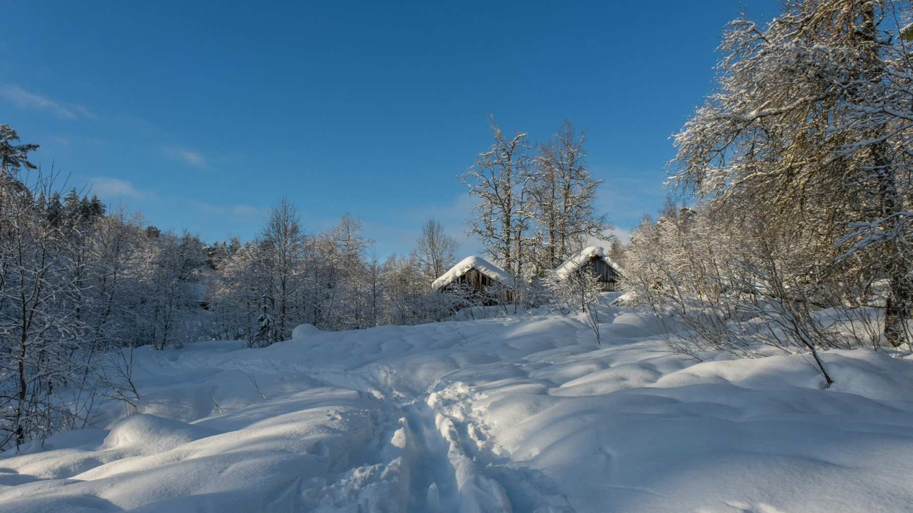 Отдых в Карелии зимой
