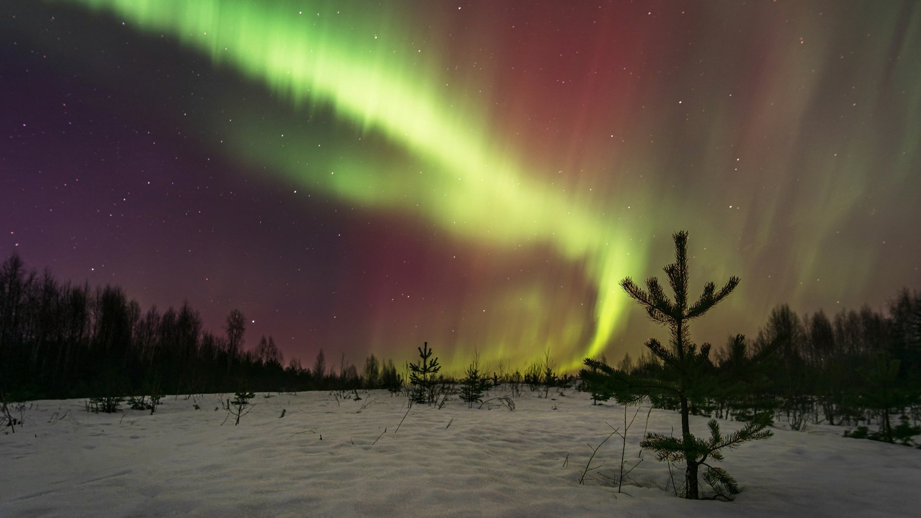 Северное сияние в Карелии