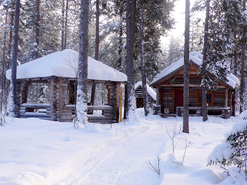 Национальный парк «Паанаярви» зимой. Фото 2