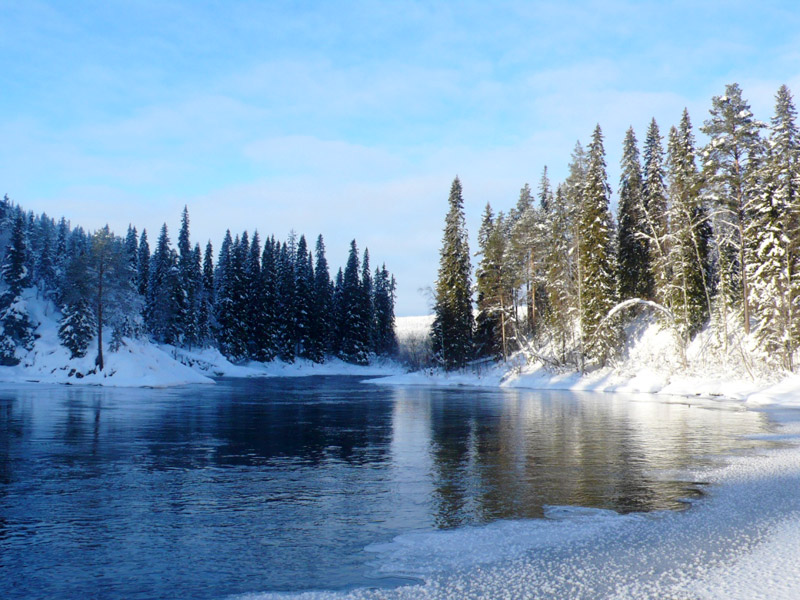 Национальный парк «Паанаярви» зимой. Фото 1