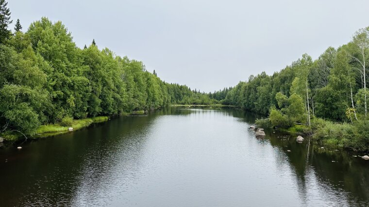 Отдых в Карелии