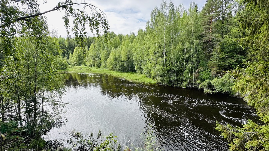 Река Суна