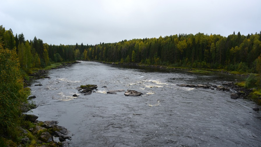 Река Водла