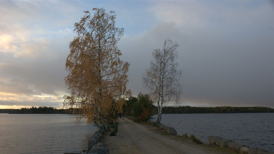 Ландшафтный заказник «Толвоярви»