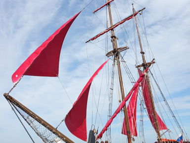 Все самое интересное о Петрозаводске: групповая обзорная экскурсия