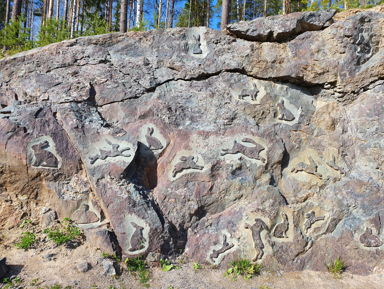 Увидеть всё: Золотое кольцо Карелии за один день – индивидуальная экскурсия