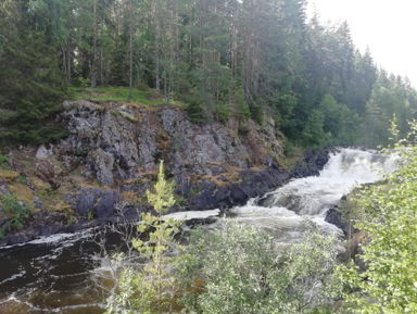Марциальные воды - водопад Кивач – индивидуальная экскурсия
