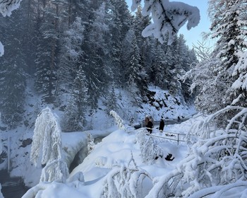 Фото 6 - день 1 Экскурсия по Петрозаводску, гора Сампо и водопад Кивач, поездка в Северное Приладожье