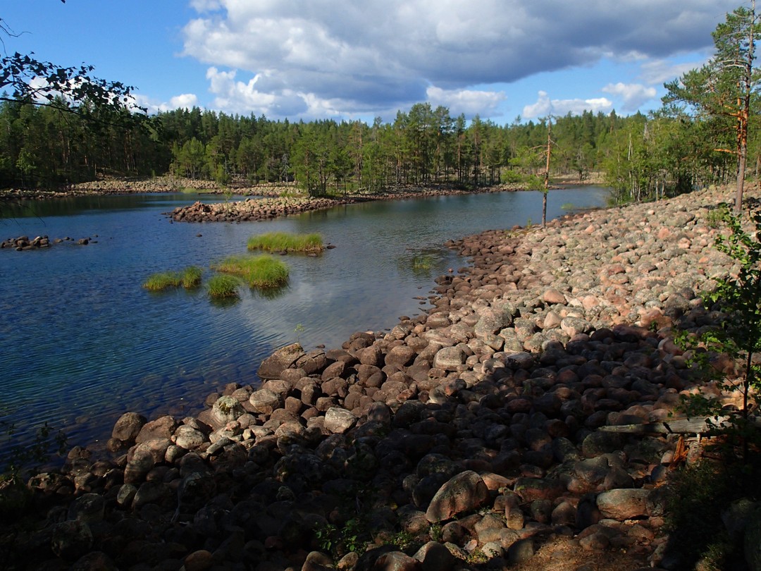 Фото 1 - день 2 Уксинская озовая гряда