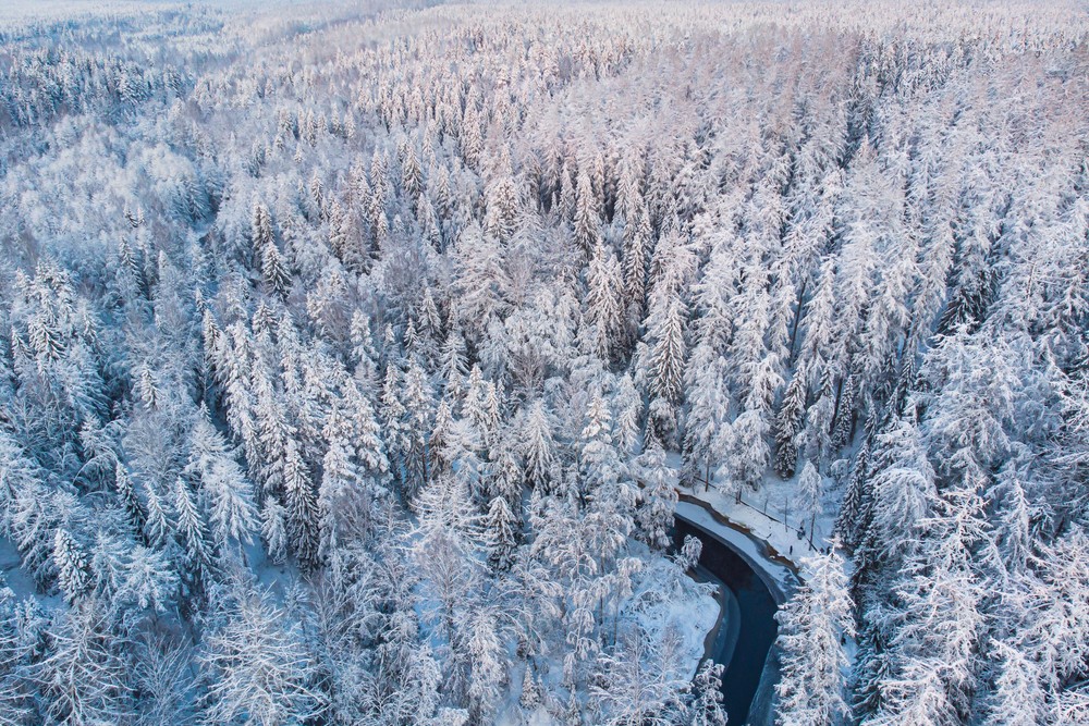 Фото 2 - день 6 Переезд в Петрозаводск
