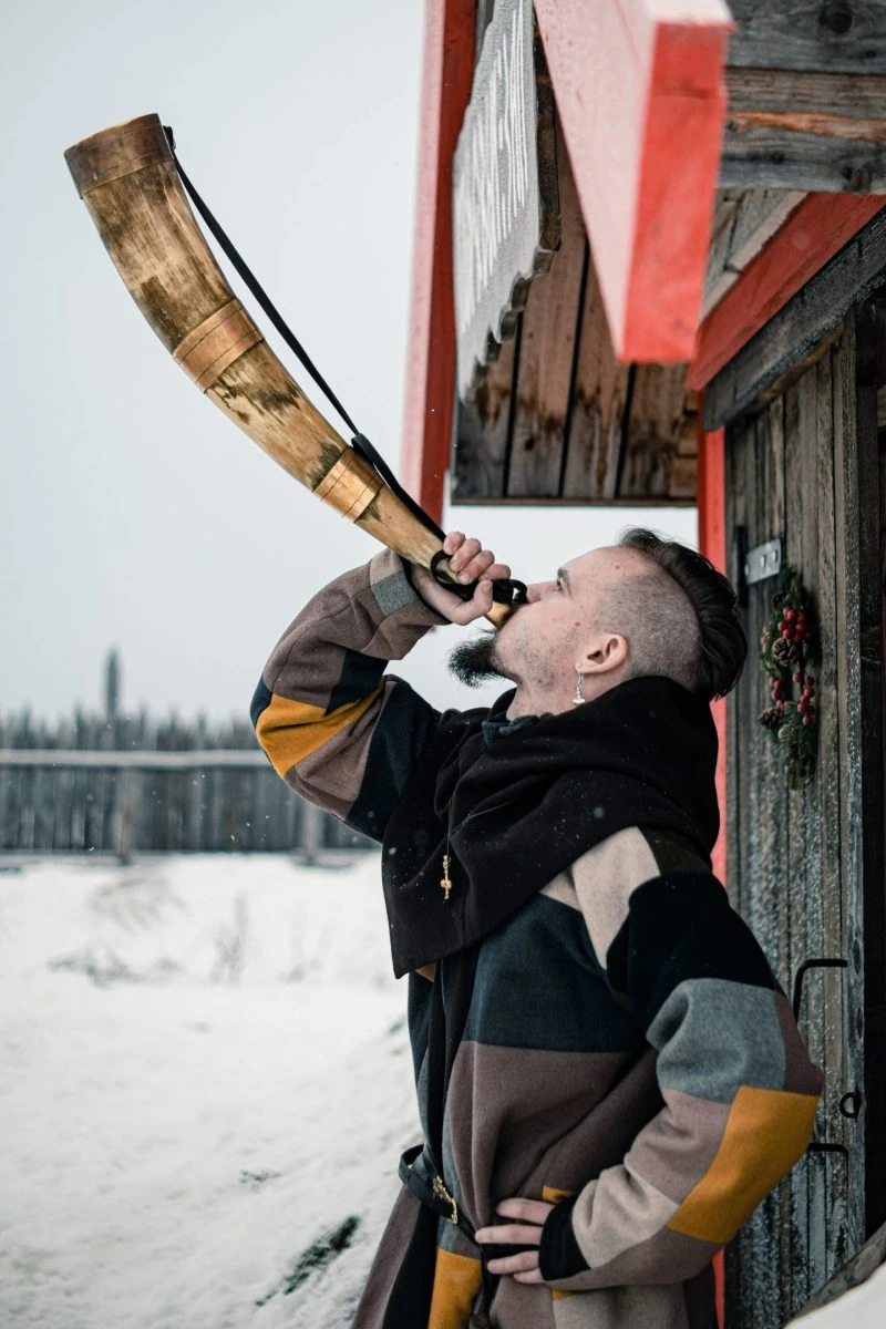 Фото 2 - день 3 Хаски, гора Паасо, экскурсия по Сортавале, исторический парк «Бастiонъ» и шунгитовый центр