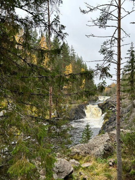 Фото 2 - день 1 Прогулка по Петрозаводску, водопад Кивач, вулкан Гирвас
