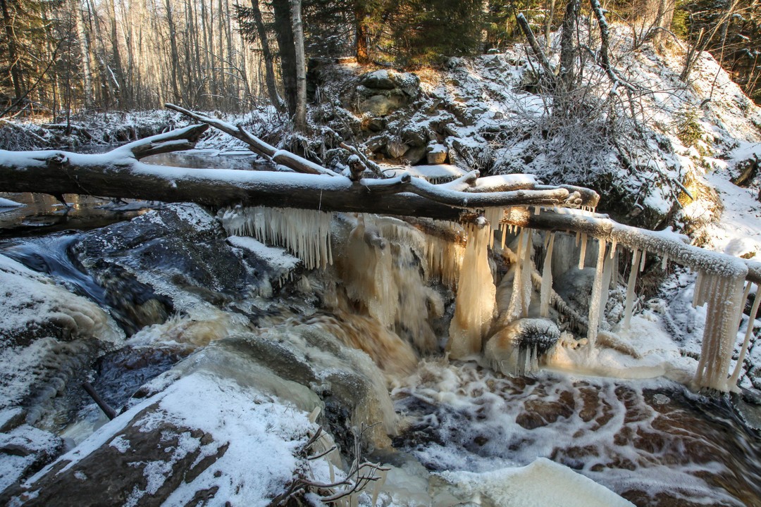 Фото 3 - день 1 Прогулка по экопарку и на гору Паасо, саамская деревня
