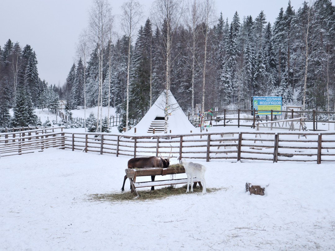 Фото 3 - день 1 Парк «Долина водопадов», хаски, олени и лоси, дегустация настоек, музей «Обитель ангелов» и встреча Нового года
