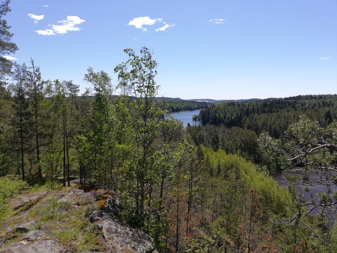 Фото 7 - день 1 Остров Риеккалансаари, Сортавала