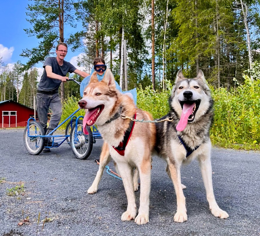 Фото 4 - день 2 Резиденция Талви Укко, шунгитовая комната, Музей кукол и прогулка по Петрозаводску