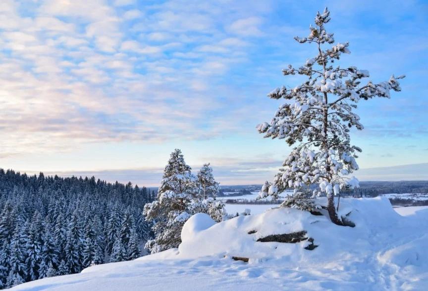 Фото 3 - день 3 Горный парк «Рускеала», Рускеальские водопады, гора Паасо