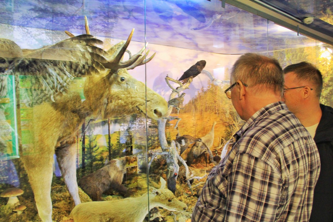 Фото 4 - день 2 Прогулка по заповеднику, посещение резиденции карельского Деда Мороза, размещение в туркомлексе, зимние развлечения, встреча Нового года