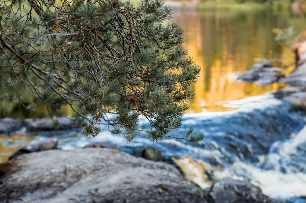 Фото 4 - день 1 Крепость Корела, кирха Яккимаа, музей иван-чая, водопад Ахвенкоски и парк «Рускеала»