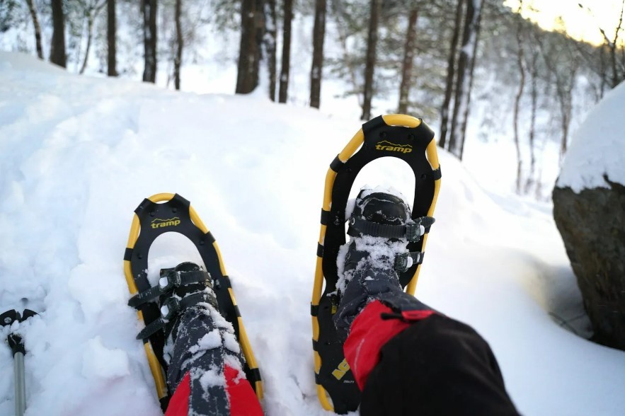 Фото 2 - день 2 Авто-пешеходная экскурсия по окрестностям Ладожского озера