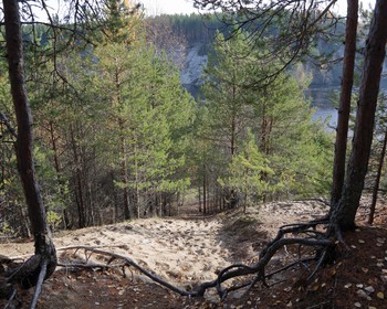 Фото 3 - день 2 Прогулки по заповедным тропам