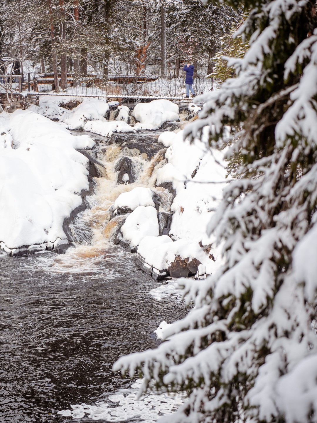 Фото 3 - день 2 Животные Карелии, гора Паасо, Долина водопадов, Приозерск
