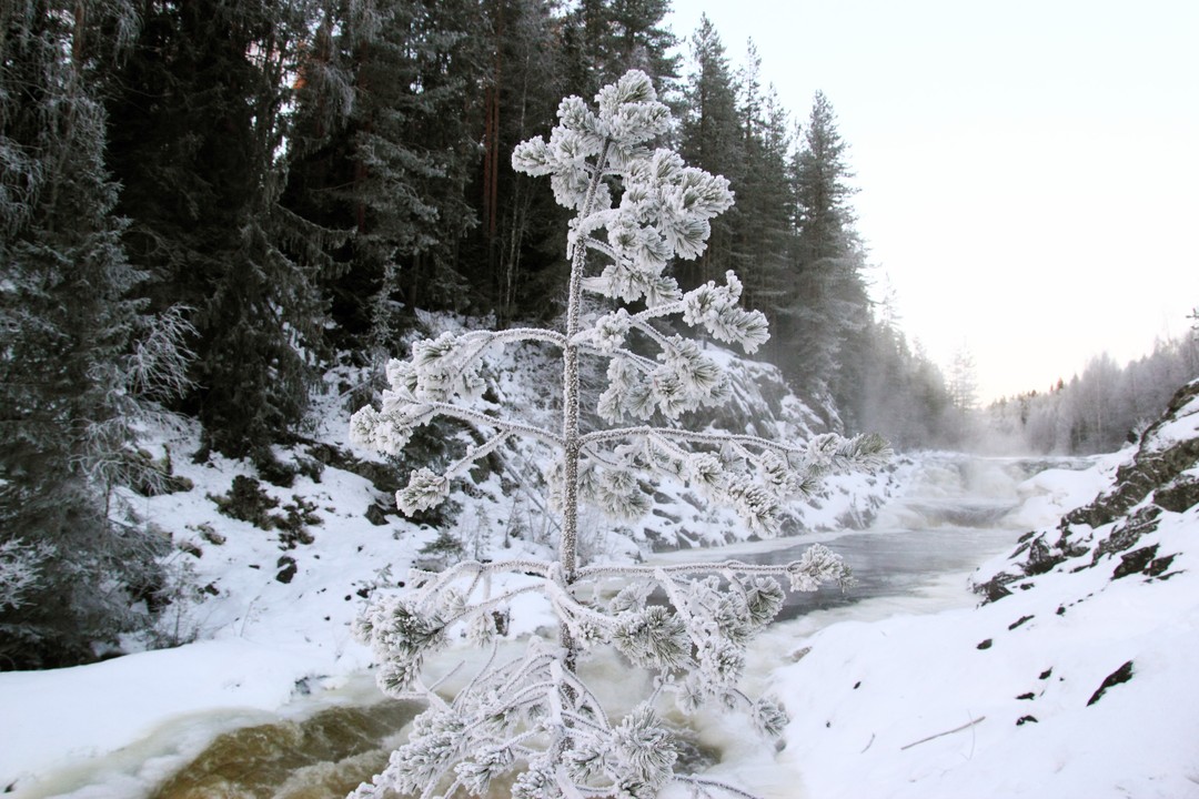 Фото 1 - день 3 Гора Сампо, «Марциальные воды», вулкан Гирвас и водопад Кивач