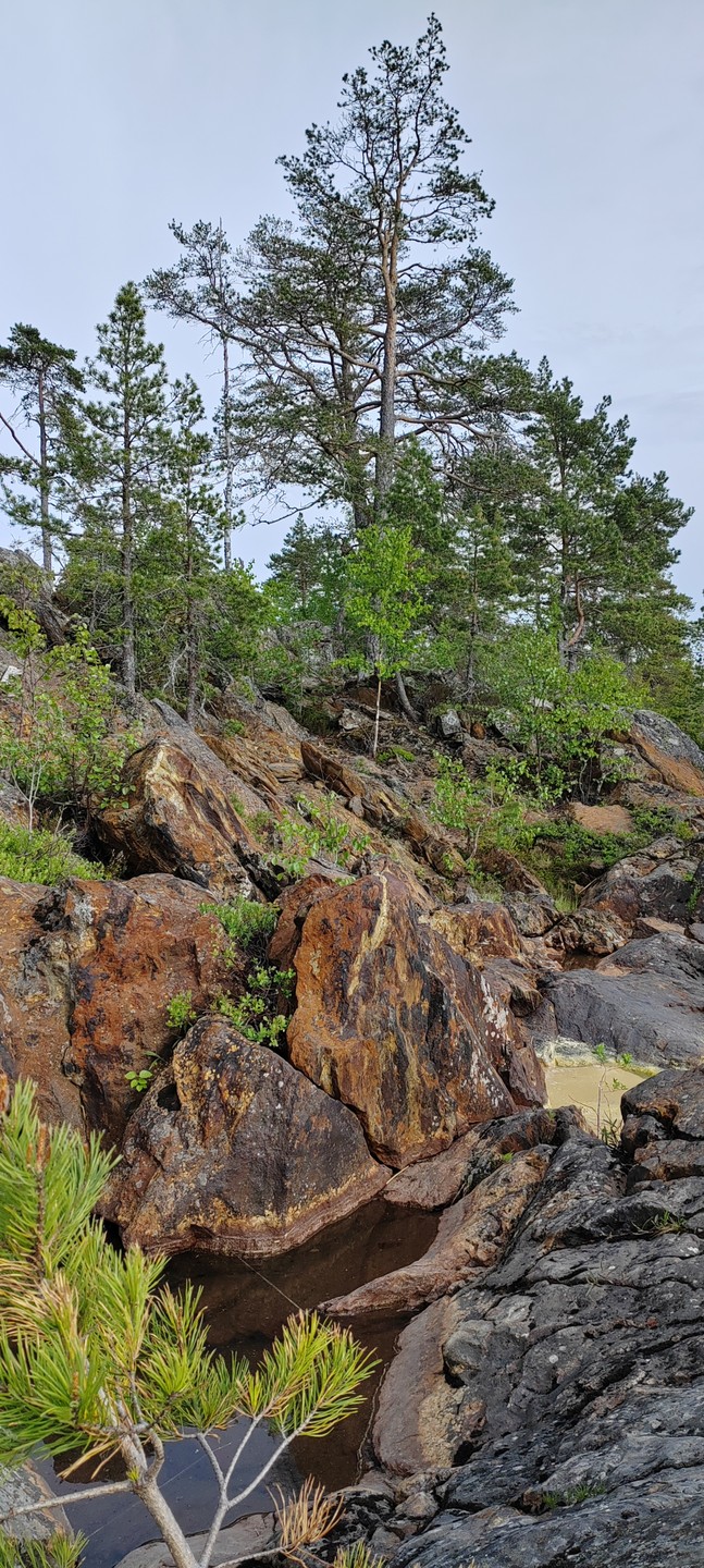 Фото 8 - день 3 Питкяранский район: наполнение и восстановление