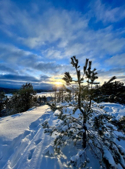 Фото 1 - день 4 Катание на снегоходах, мастер-класс по приготовлению калиток