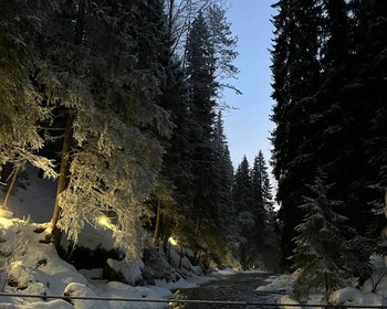 Фото 5 - день 2 Гора Паасо, музей «Город ангелов», прогулка по «Долине водопадов»