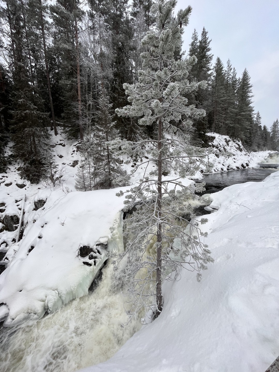 Фото 1 - день 2 Прогулка вдоль Онеги, заповедник «Кивач», вотчина Талви Укко, Александро-Свирский монастырь