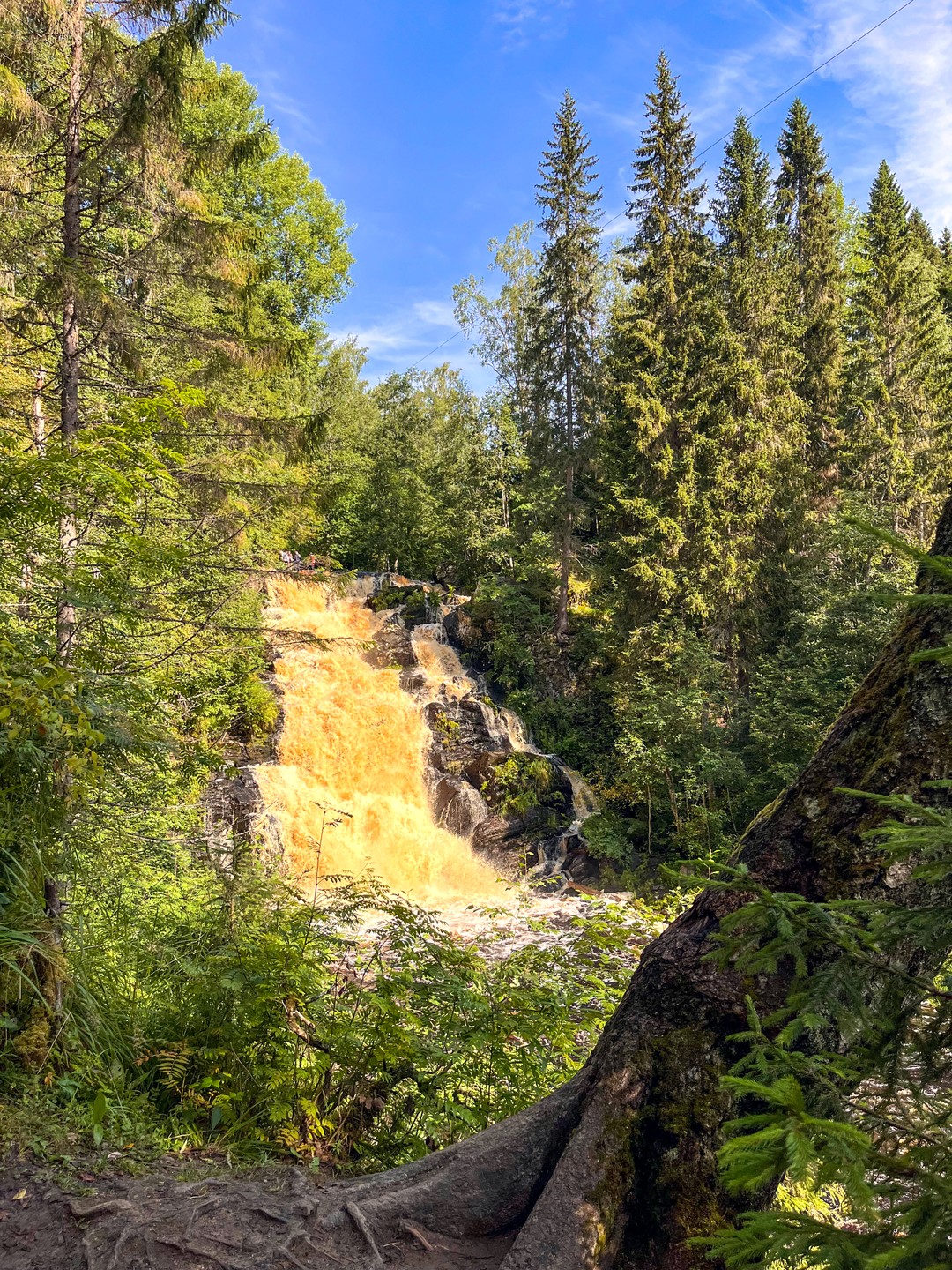 Фото 6 - день 5 Экскурсии на выбор: водопады, Валаам, водная прогулка по шхерам и возвращение в Санкт-Петербург