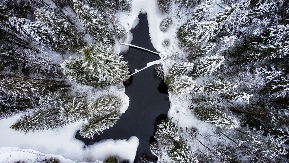 Фото 4 - день 4 Заповедная территория Карелии с домиком и баней в лесу — «Паанаярви»