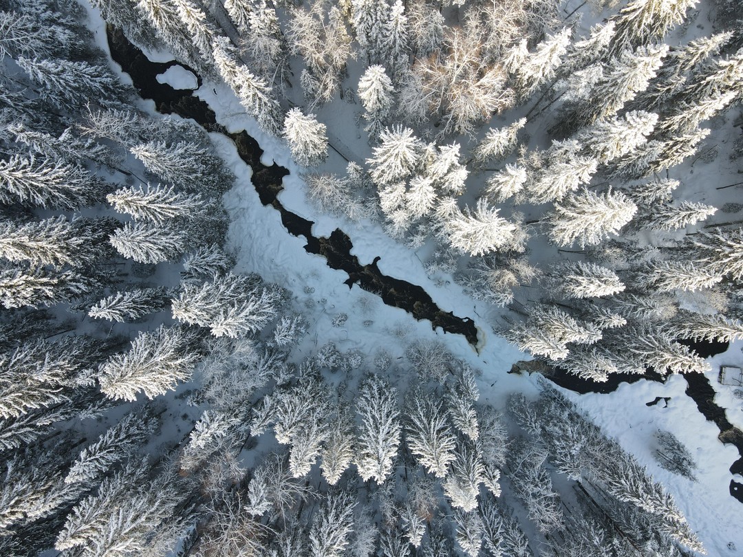 Фото 4 - день 1 Крепость Корела, экопарк «Долина водопадов», музей «Город ангелов» и встреча Нового года
