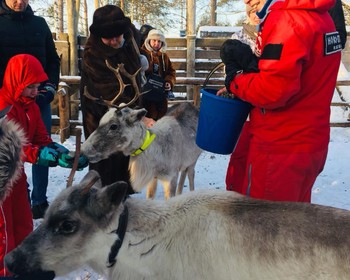 Фото 2 - день 1 Петрозаводск, приготовление калиток, гастрообед, вотчина Деда Мороза в Карелии и питомник хаски и оленей