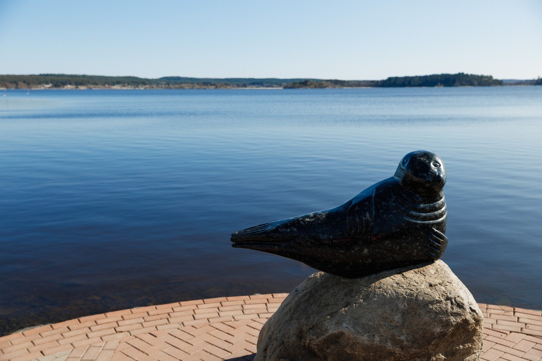 Фото 1 - день 1 Приозерск, встреча с хаски, «Рускеала», карельская кухня, отдых в бассейне и спа