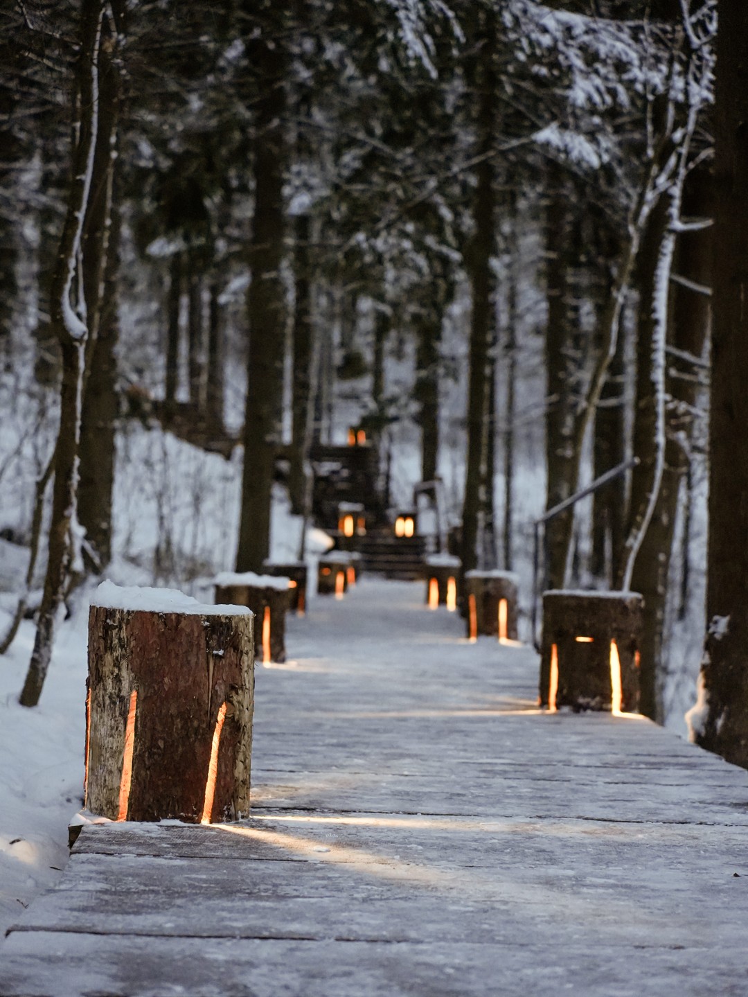 Фото 2 - день 2 Животные Карелии, гора Паасо, Долина водопадов, Приозерск