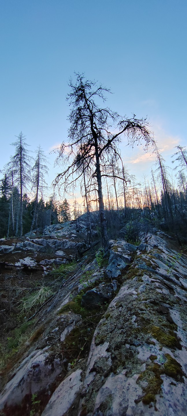 Фото 6 - день 3 Питкяранский район: наполнение и восстановление