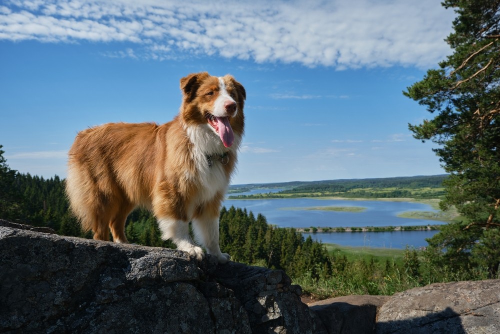 Фото 1 - день 2 Русская Норвегия, музей и центр шунгита