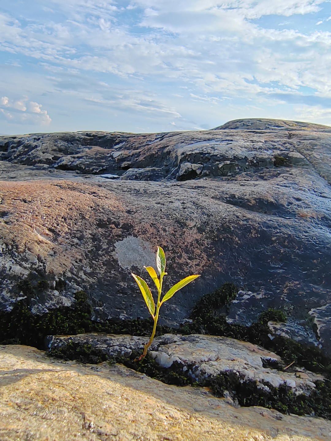 Фото 7 - день 3 Питкяранский район: наполнение и восстановление