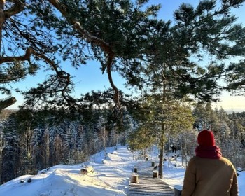 Фото 6 - день 3 Горный парк «Рускеала», Рускеальские водопады, гора Паасо