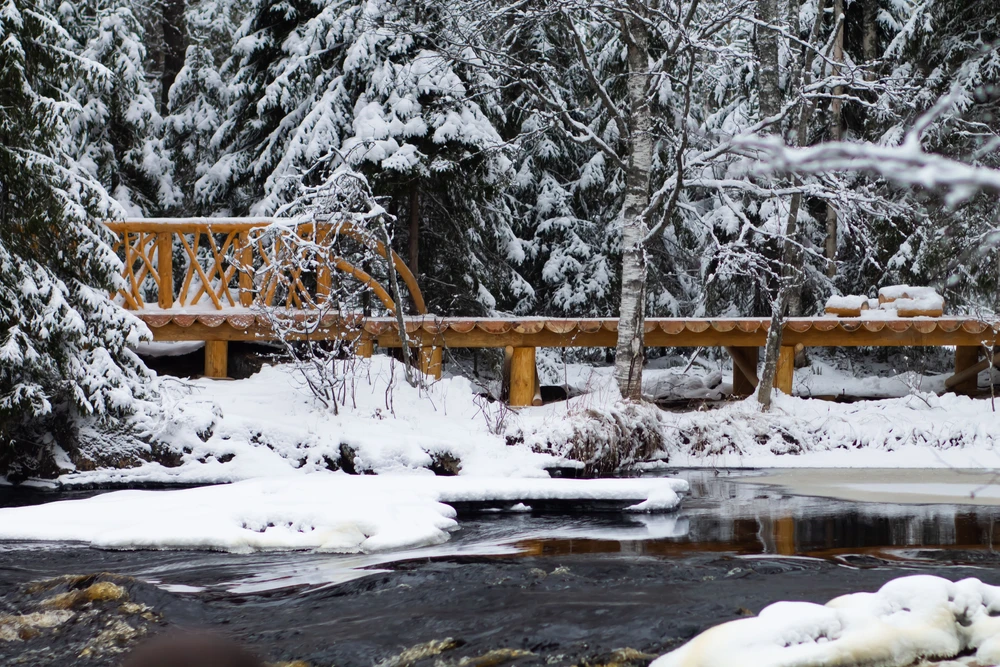 Фото 3 - день 3 День в вашем распоряжении