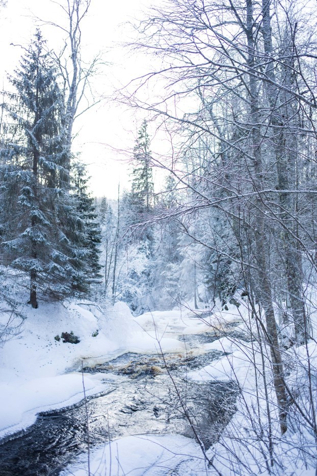 Фото 4 - день 2 Посещение хаски-парка, юрта шамана и исторический парк «Бастионъ»