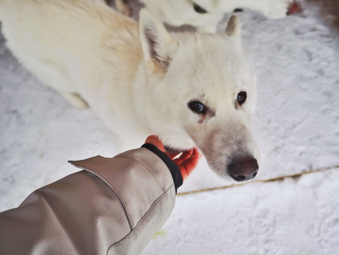Фото 2 - день 1 Экокомплекс «Долина водопадов», ослиная ферма, музей «Обитель ангелов», дегустация и новогодний банкет