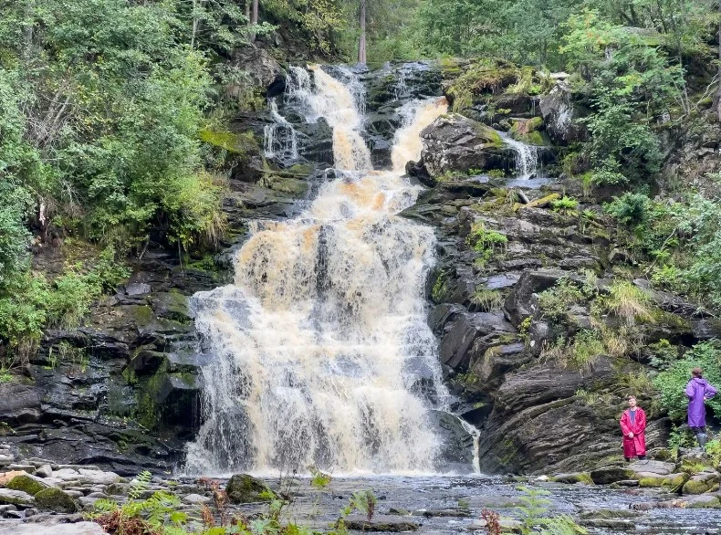 Фото 5 - день 3 Валаам, прогулка на катере по Ладожским шхерам, водопад Белые мосты, возвращение в Петрозаводск