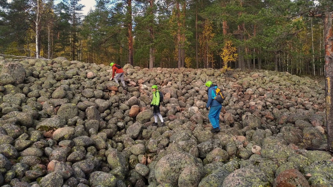 Фото 4 - день 2 Уксинская озовая гряда