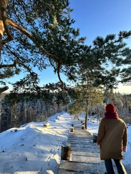 Фото 5 - день 3 Горный парк «Рускеала», Рускеальские водопады, гора Паасо