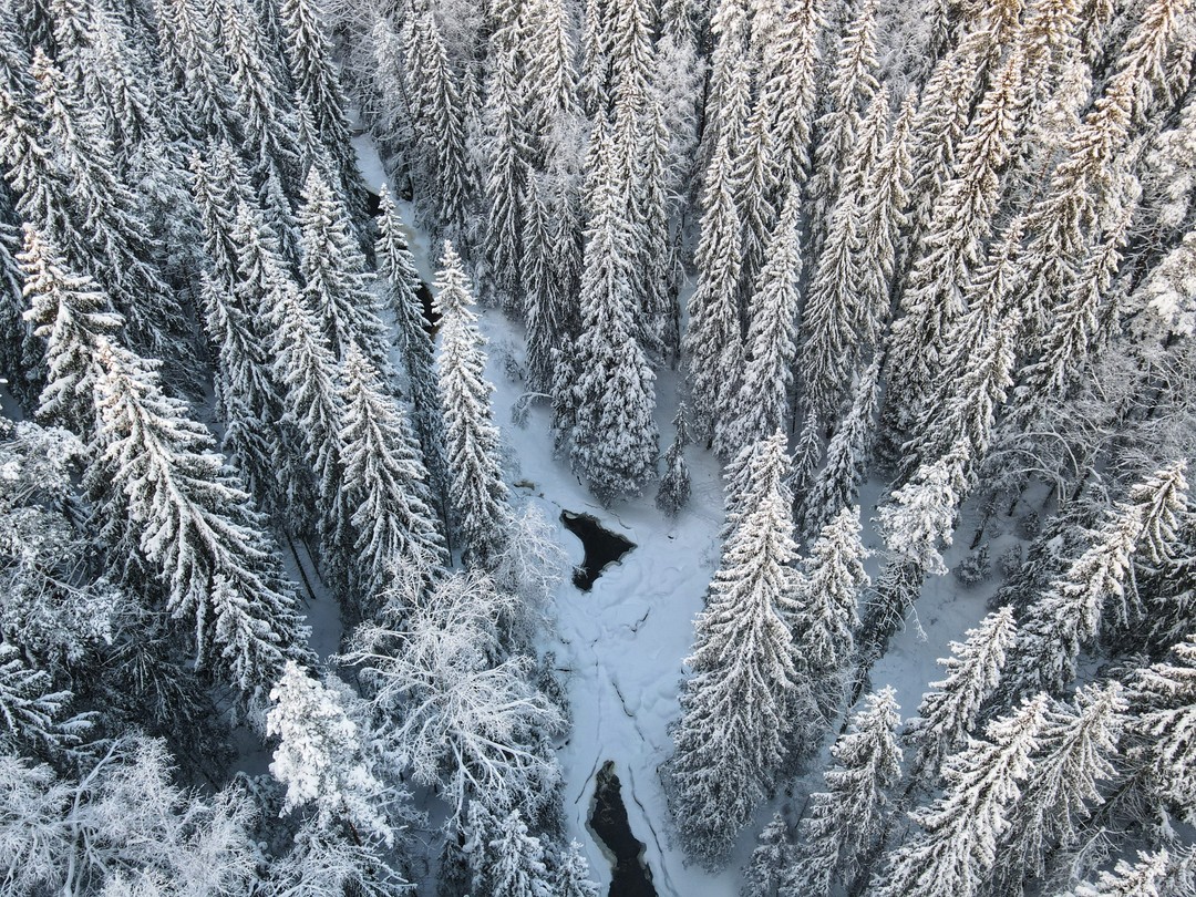 Фото 4 - день 1 Экокомплекс «Долина водопадов», ослиная ферма, музей «Обитель ангелов», дегустация и новогодний банкет