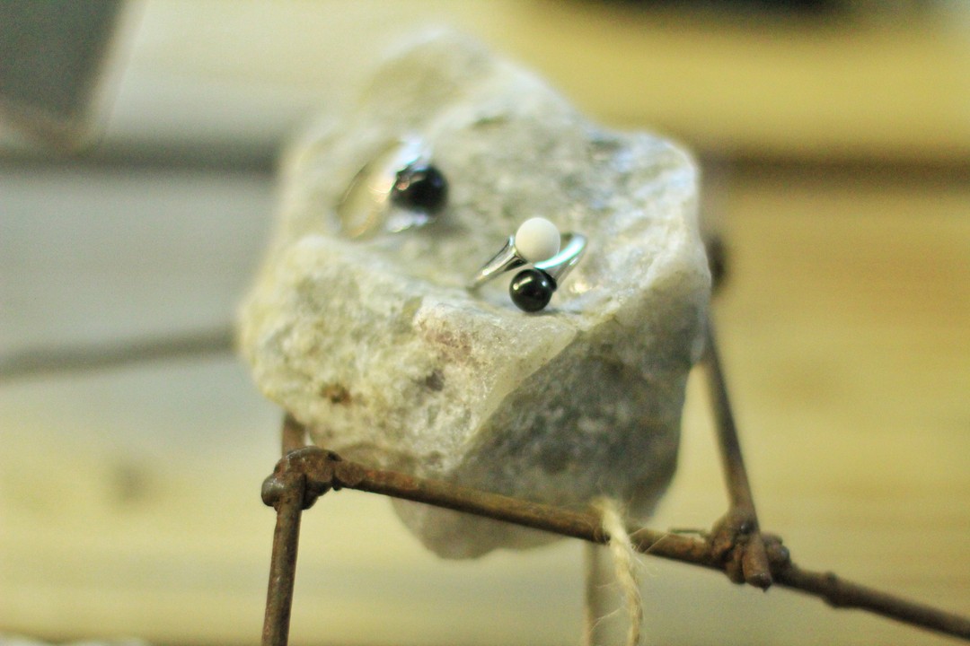 Фото 2 - день 2 Питомник хаски, знакомство с городом Сортавала, центр шунгита, дегустации