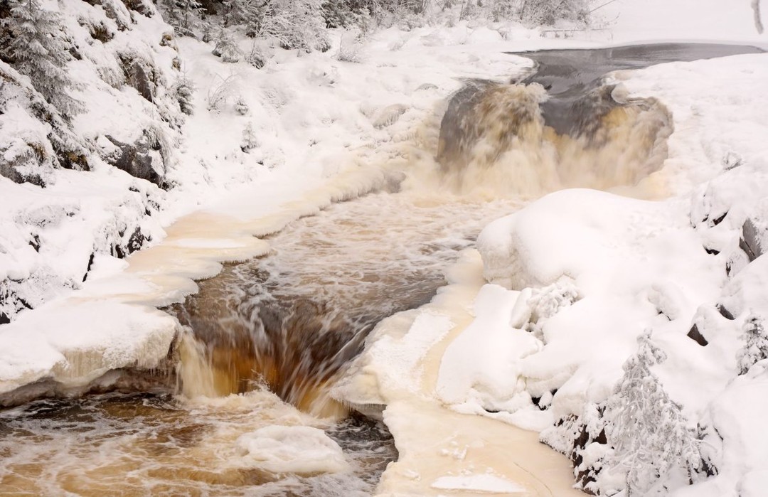 Фото 1 - день 2 Экскурсия по Петрозаводску, водопад Кивач, вотчина Талви Укко и питомник оленей и хаски, интерактивная программа